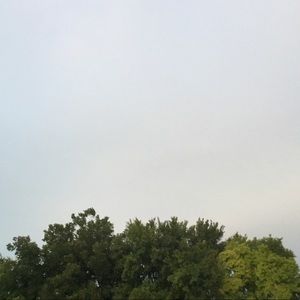 Meet your Posher, Arleth